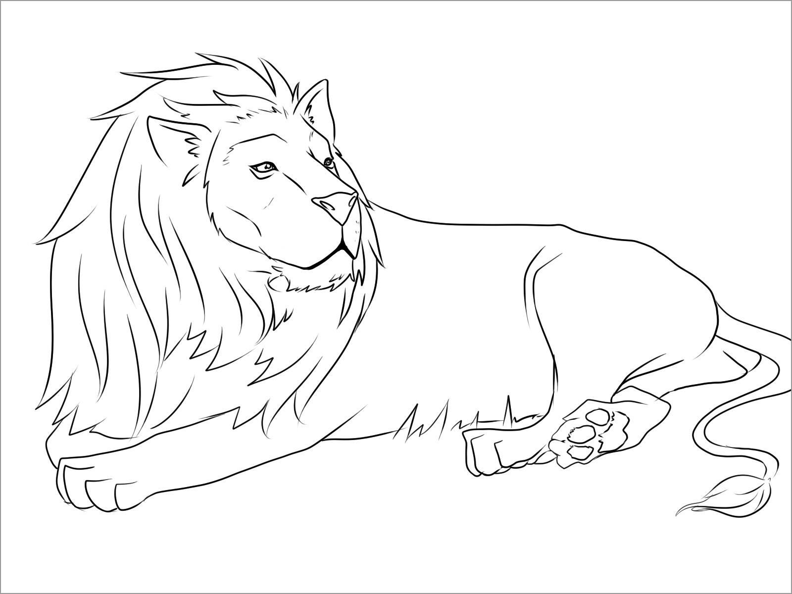 Easy Lion Coloring Pages