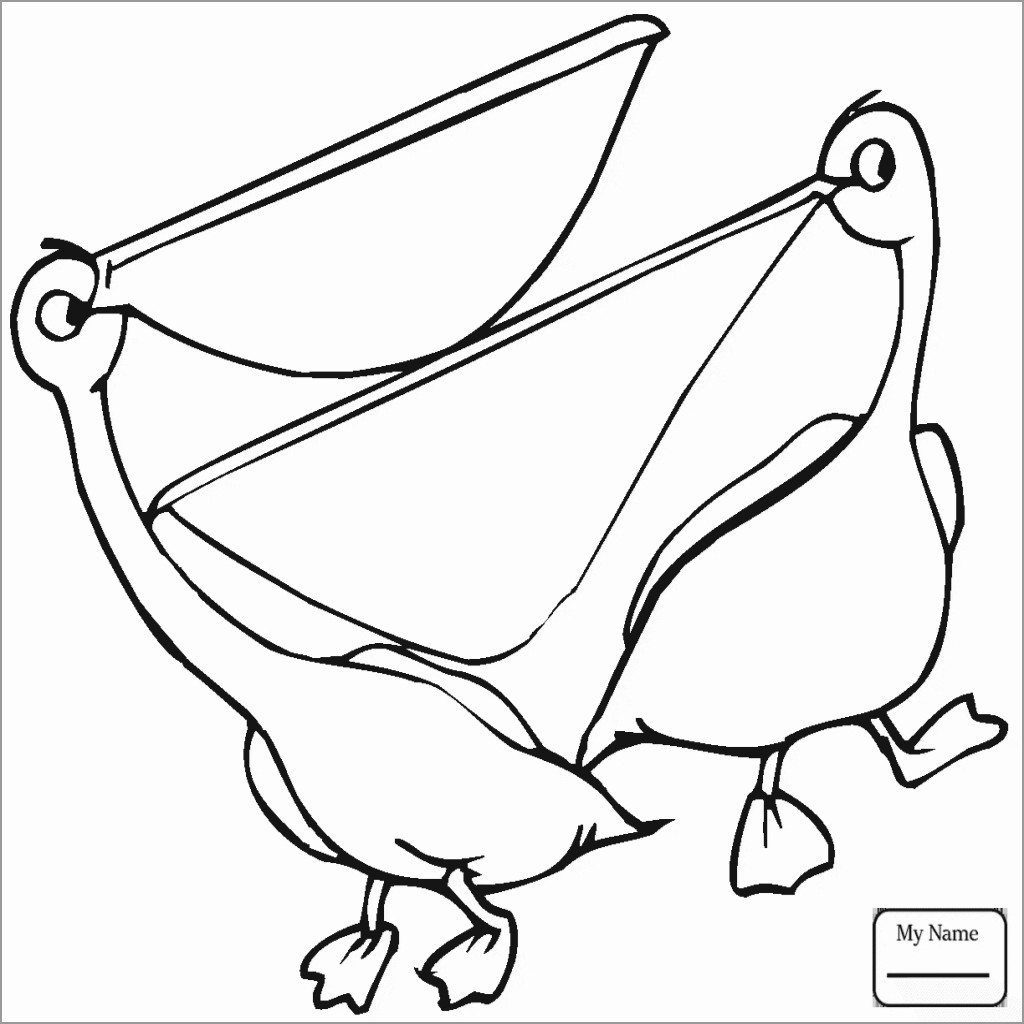 Easy Pelicans Coloring Page for Kids