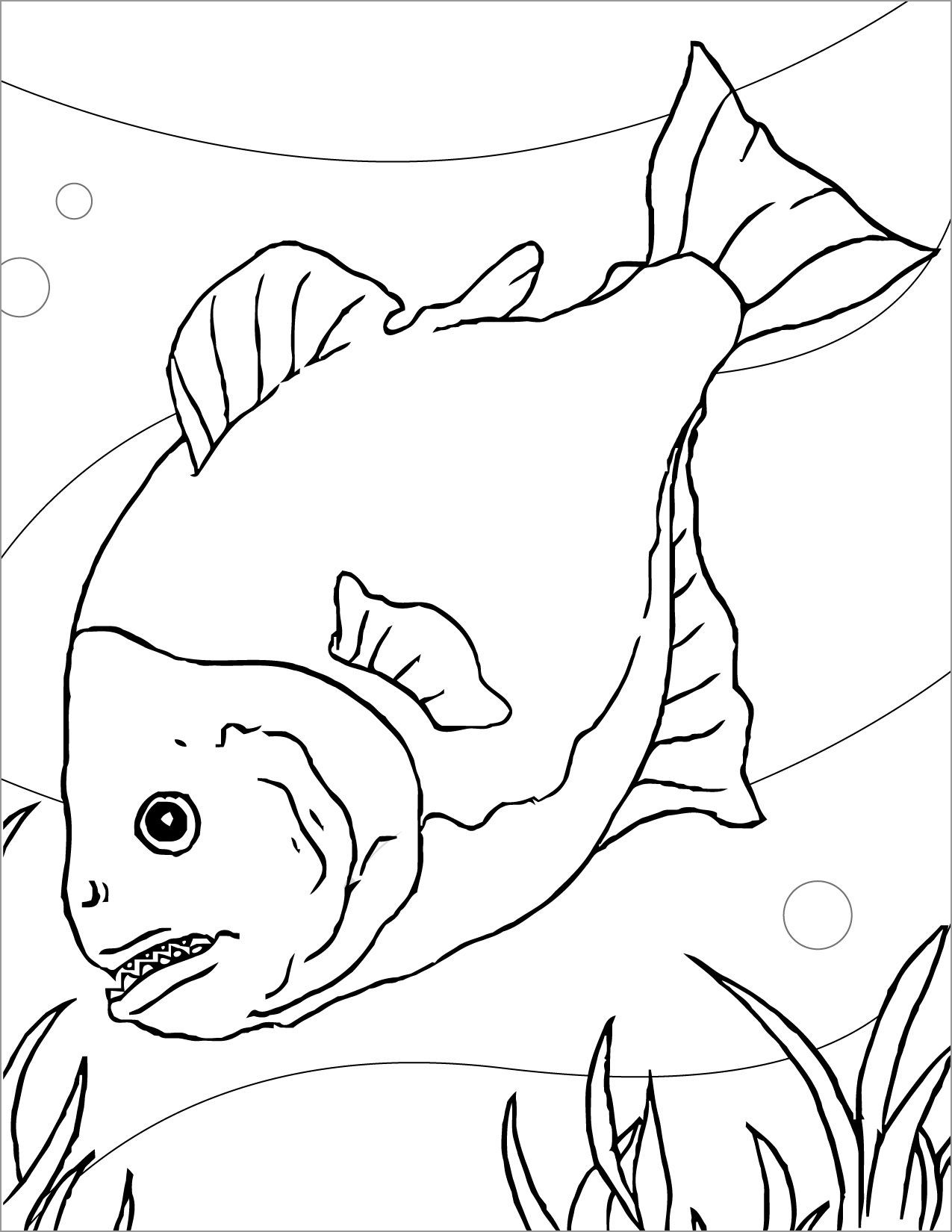 Easy Piranha Coloring Page