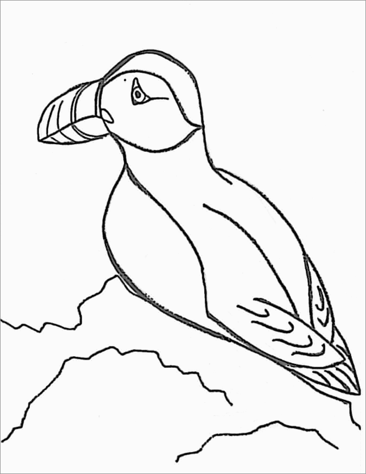 Puffins Coloring Pages