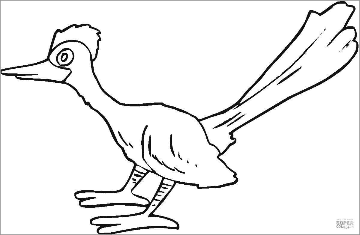 Easy Roadrunner Coloring Page for Kids