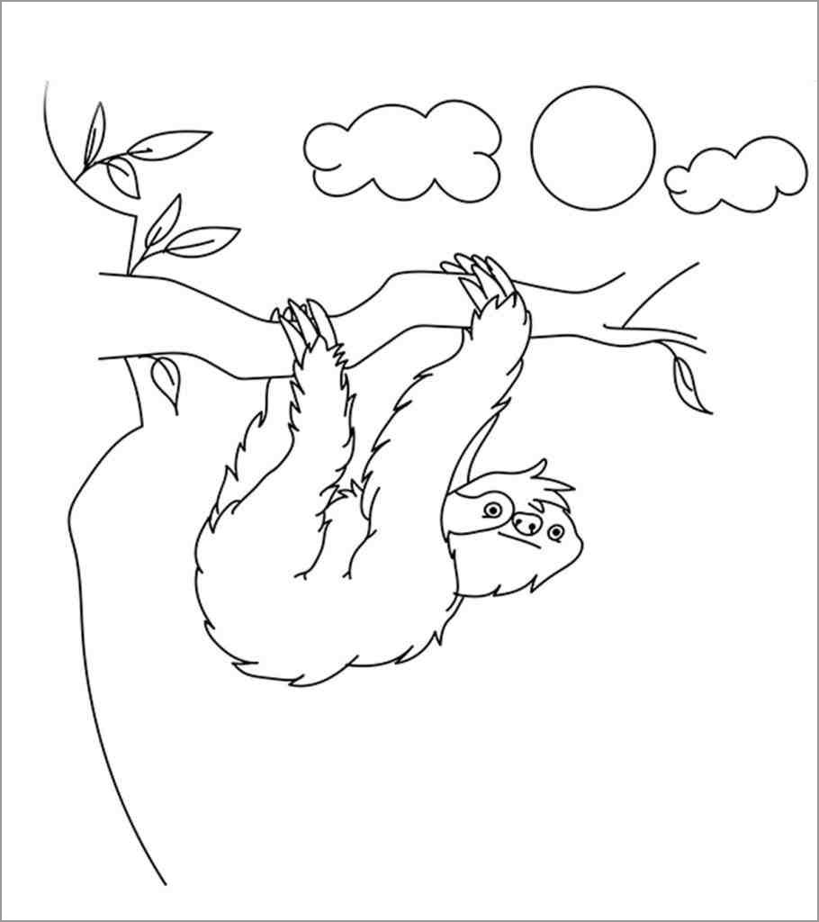 Easy Sloths Coloring Page for Kids