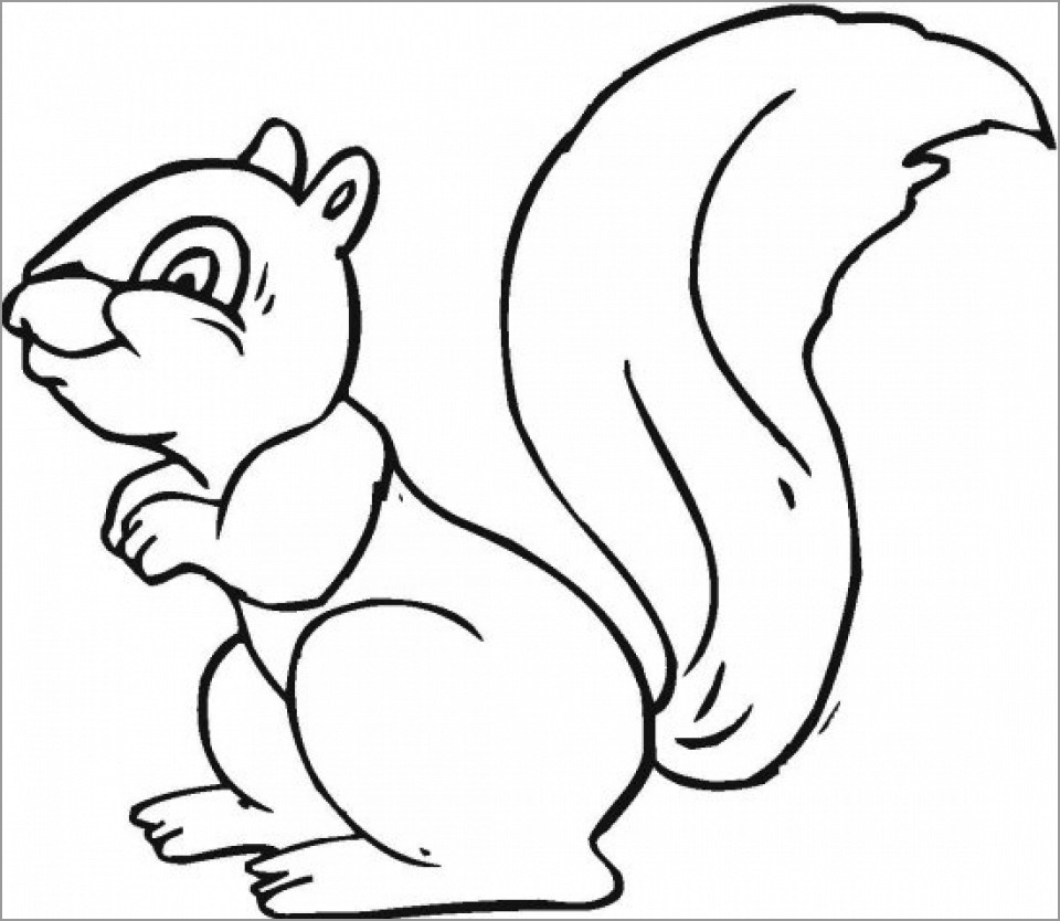 Easy Squirrel Coloring Page for Kids