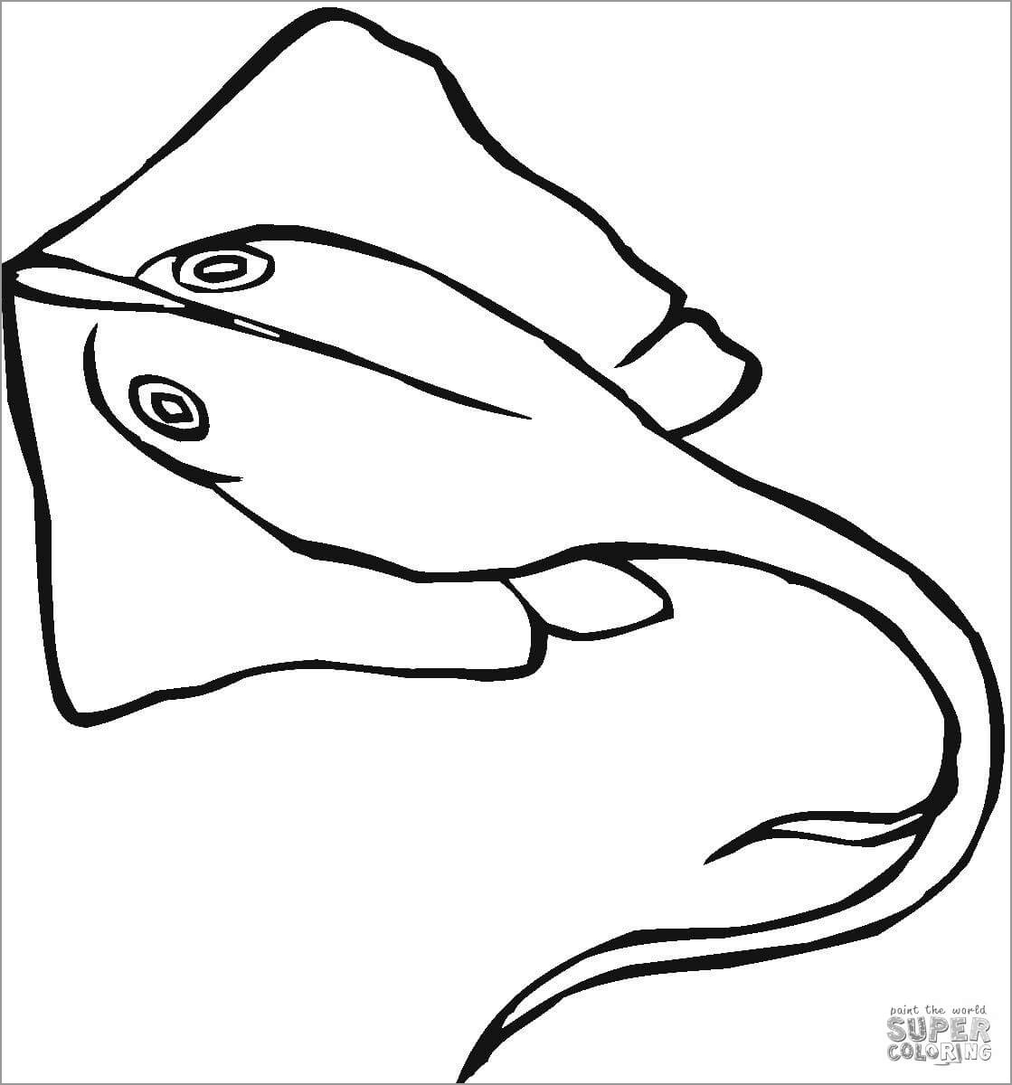 Easy Stingray Coloring Page for Kids