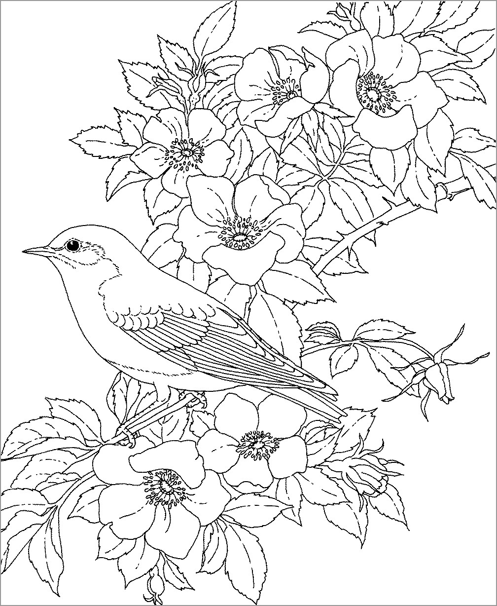 Flowers and Bluebird Coloring Page