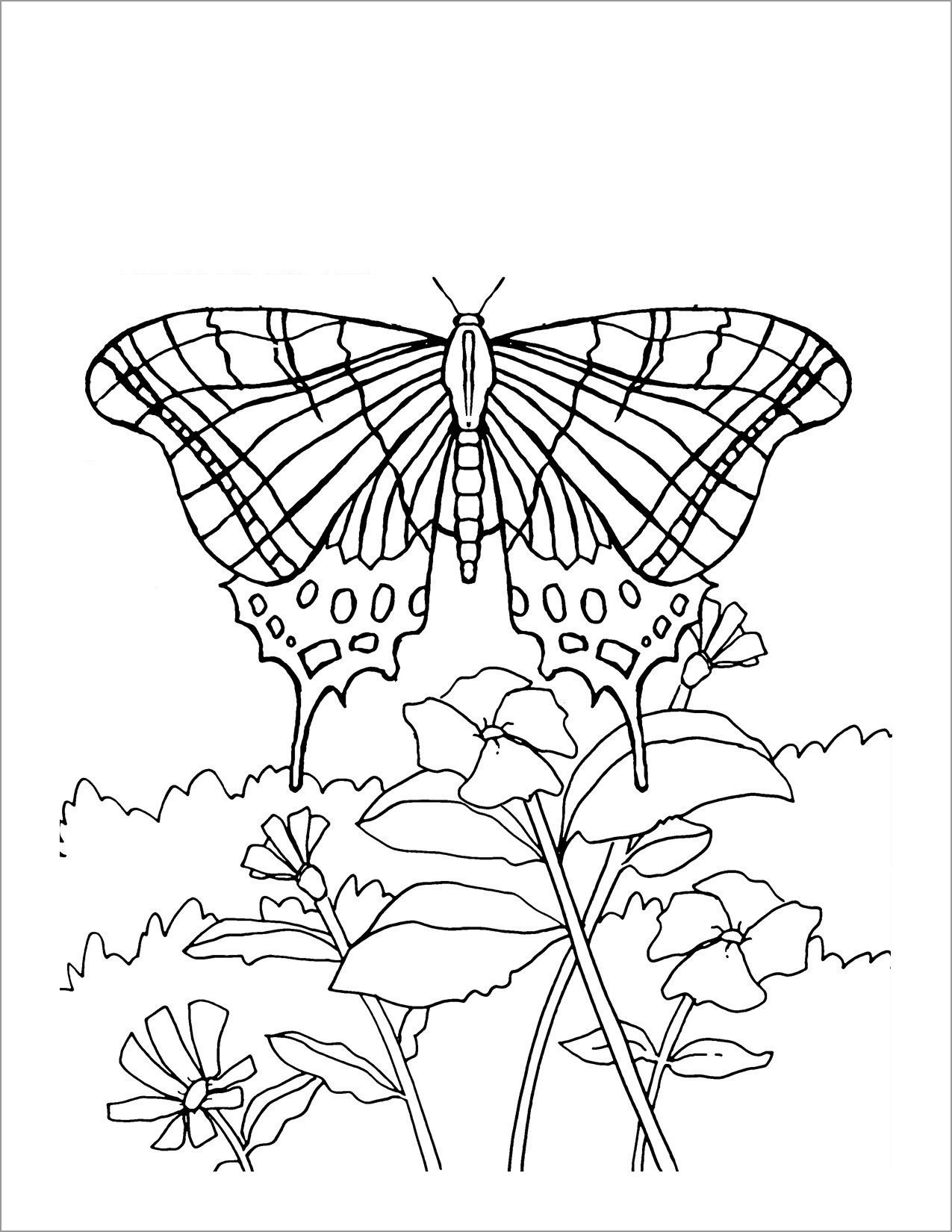 Flowers and butterflies Coloring Page