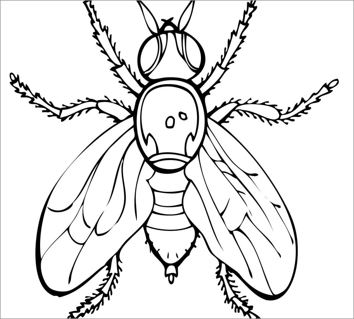 Flying Aphid Coloring Pages