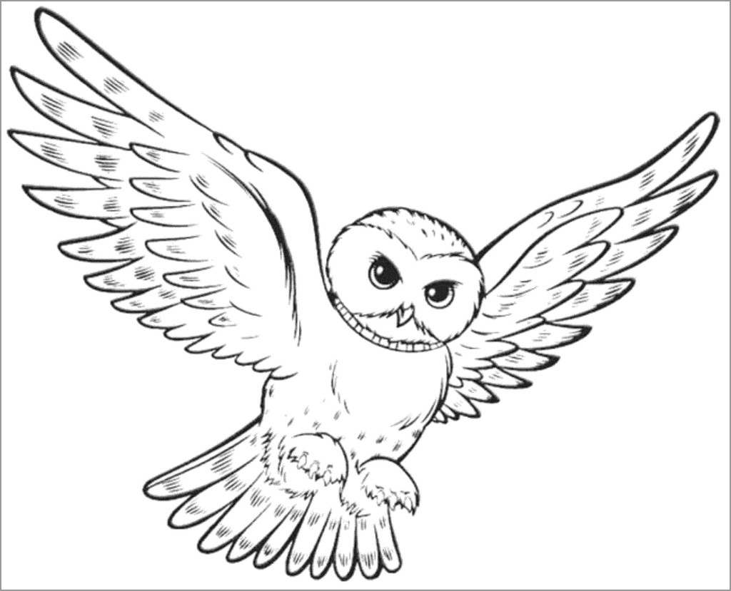 flying-owl-coloring-page-coloringbay