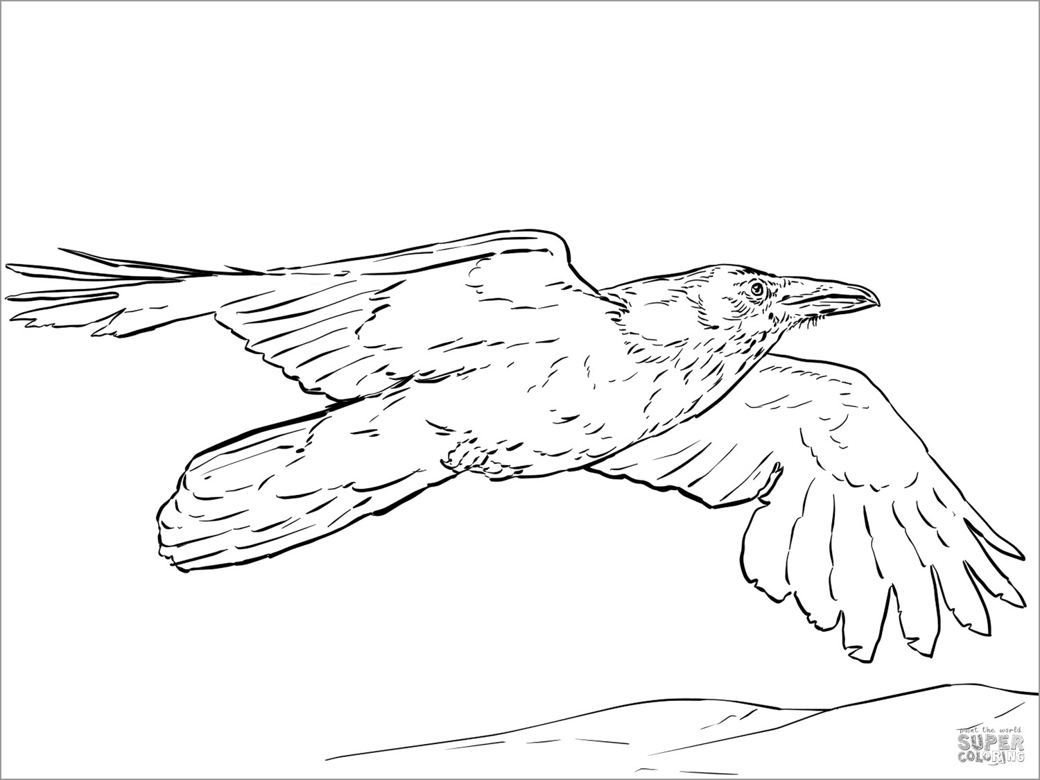 Raven Coloring Pages - ColoringBay