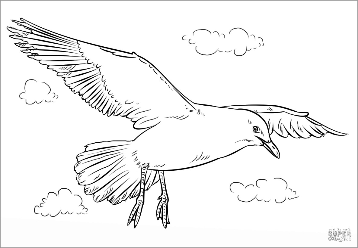 Seagulls Coloring Pages
