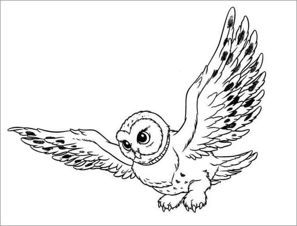 Flying Snowy Owl Coloring Pages for Kids