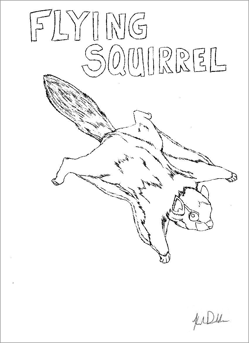 Flying Squirrel Coloring Page