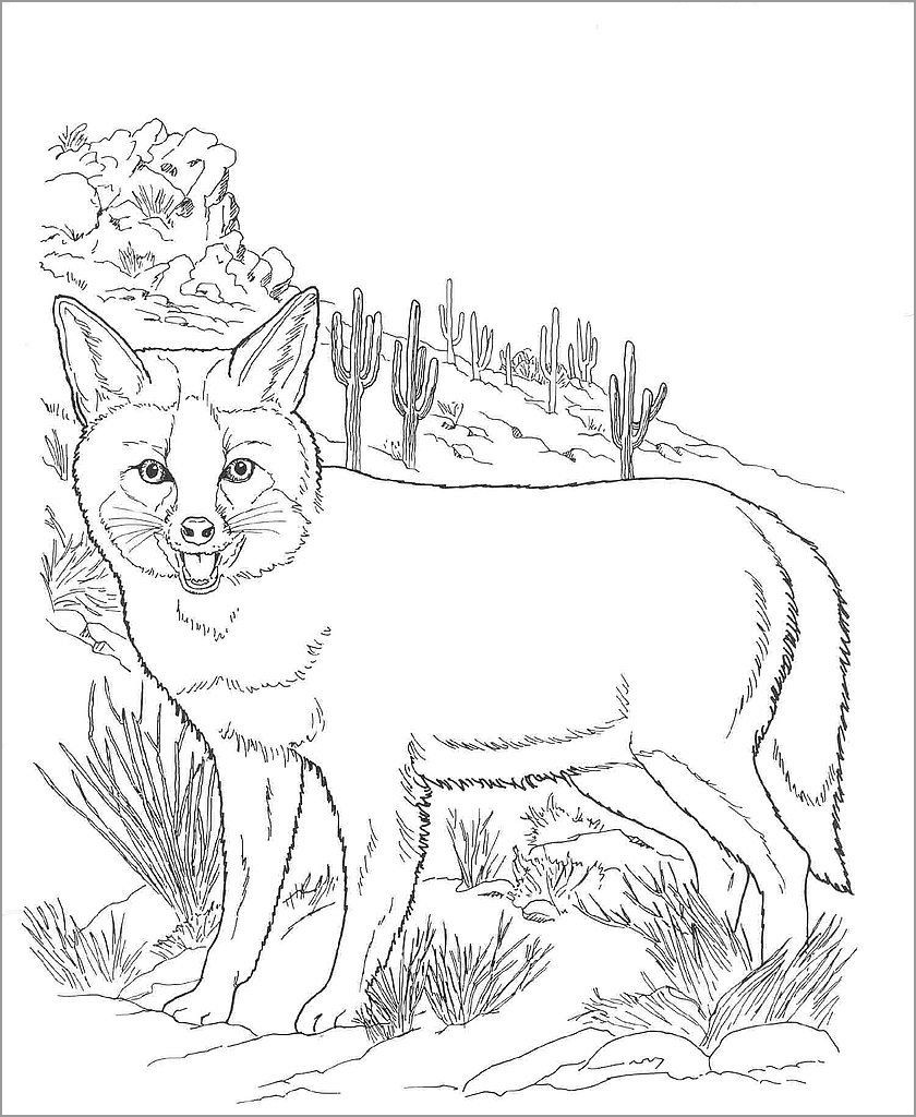 Fox Desert Animals Coloring Pages