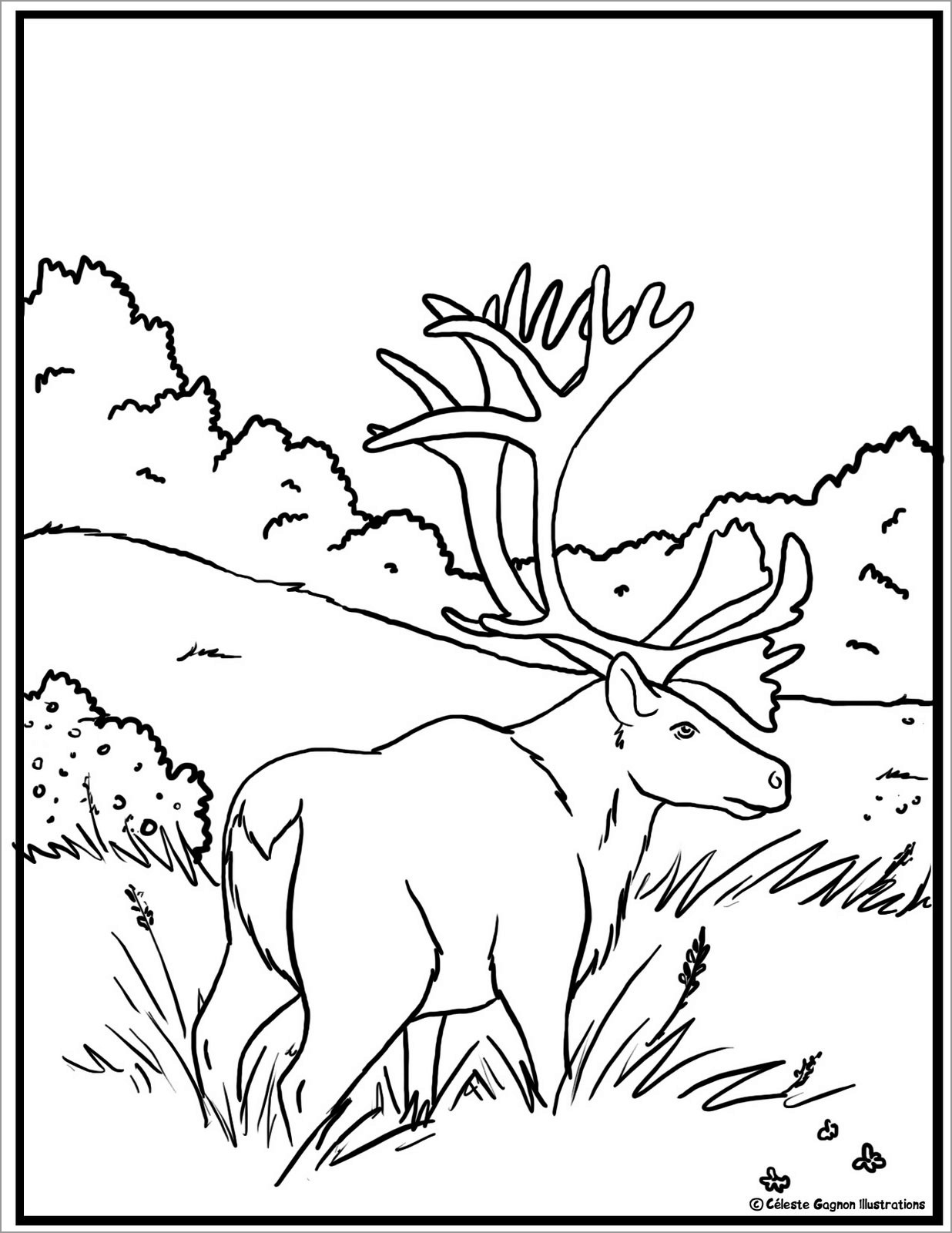 Free Caribou Coloring Page