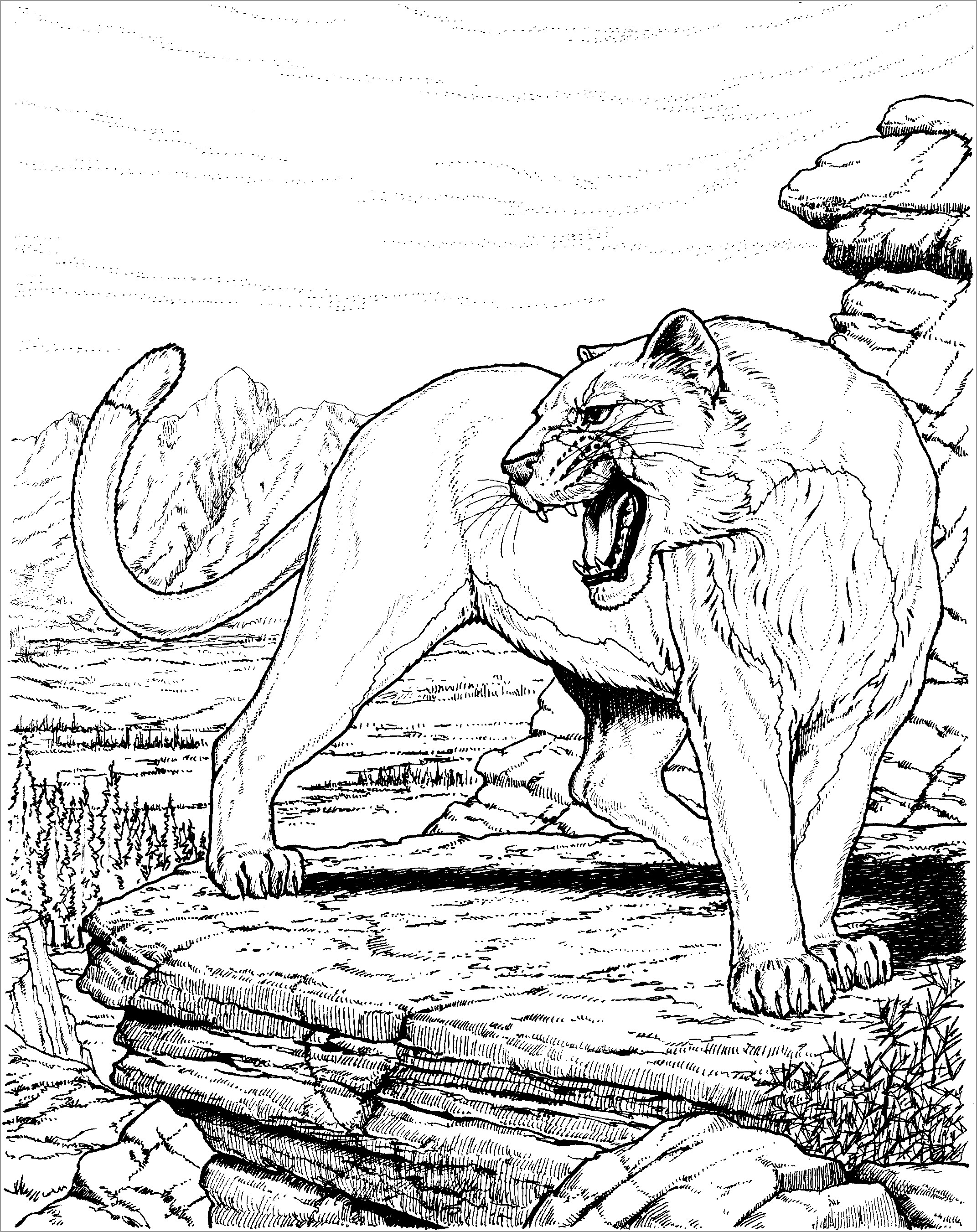 Free Cougar Coloring Page for Adult