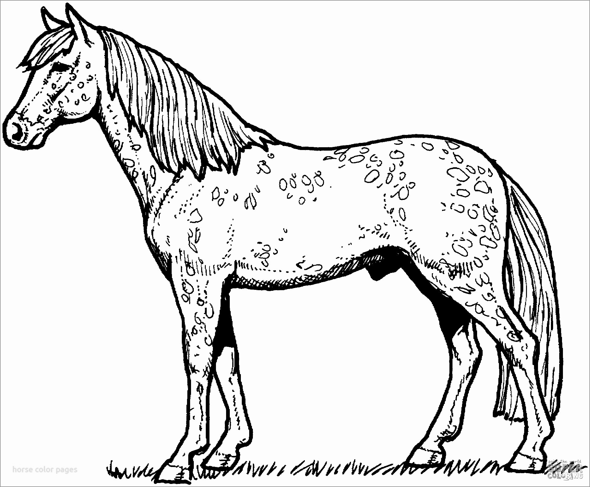 Top 55 Free Printable Horse Coloring Pages Online 40 Horse Coloring 