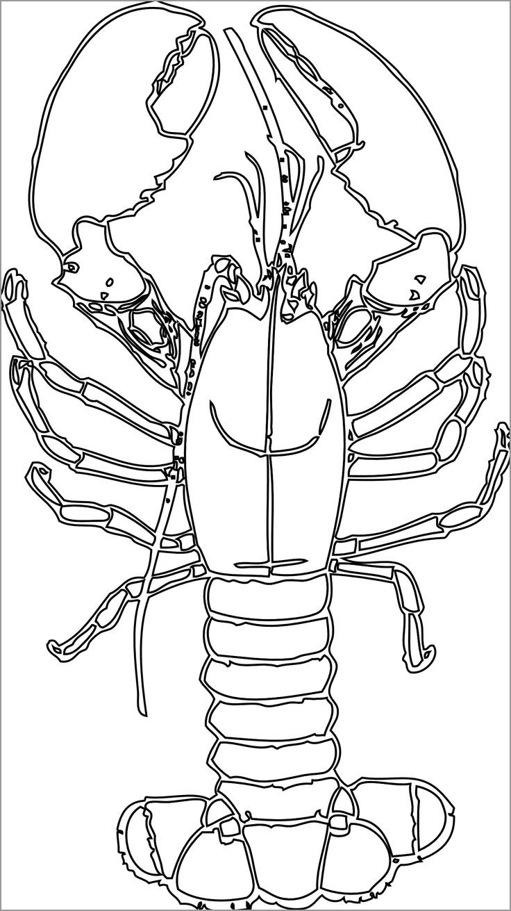 Free Printable Lobster Coloring Pages