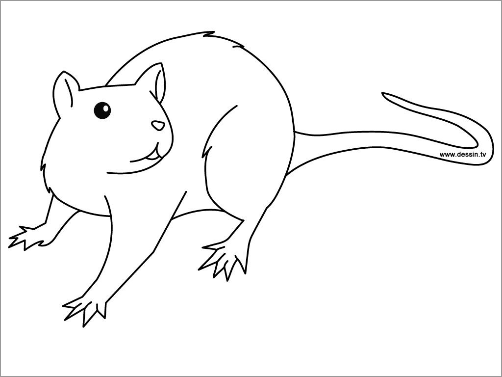 Free Printable Rat Coloring Pages for Kids