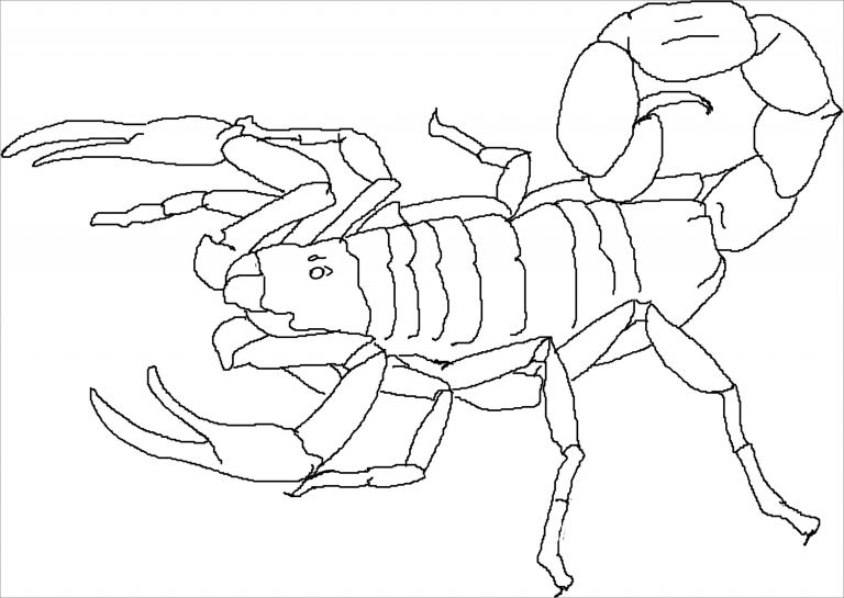 Download Free Printable Scorpion Coloring Pages For Kids Coloringbay