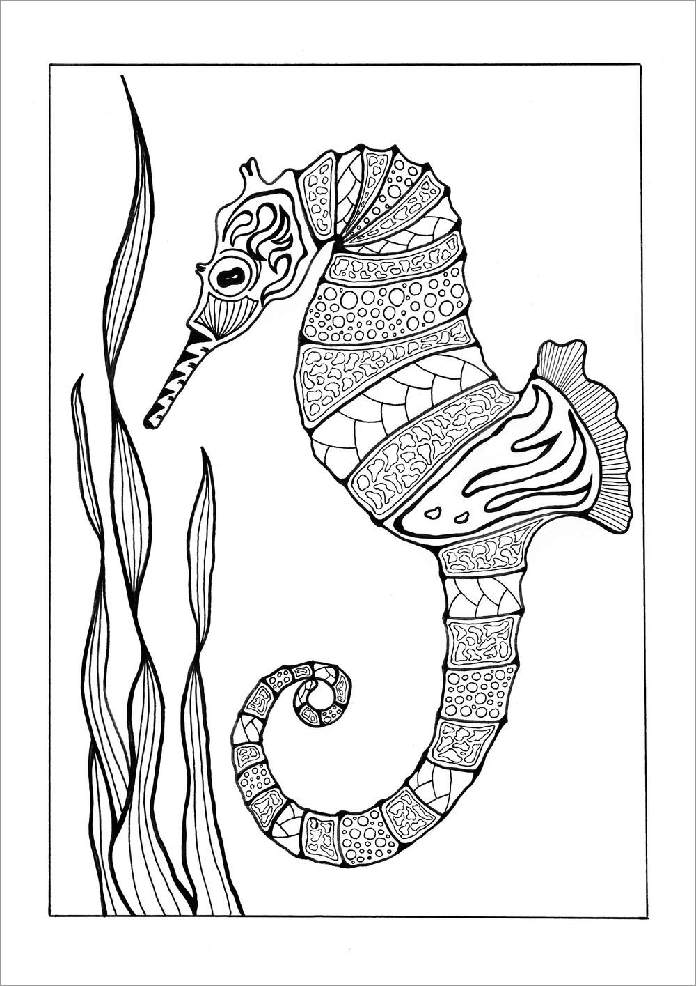 Free Printable Seahorse Coloring Pages for Adults