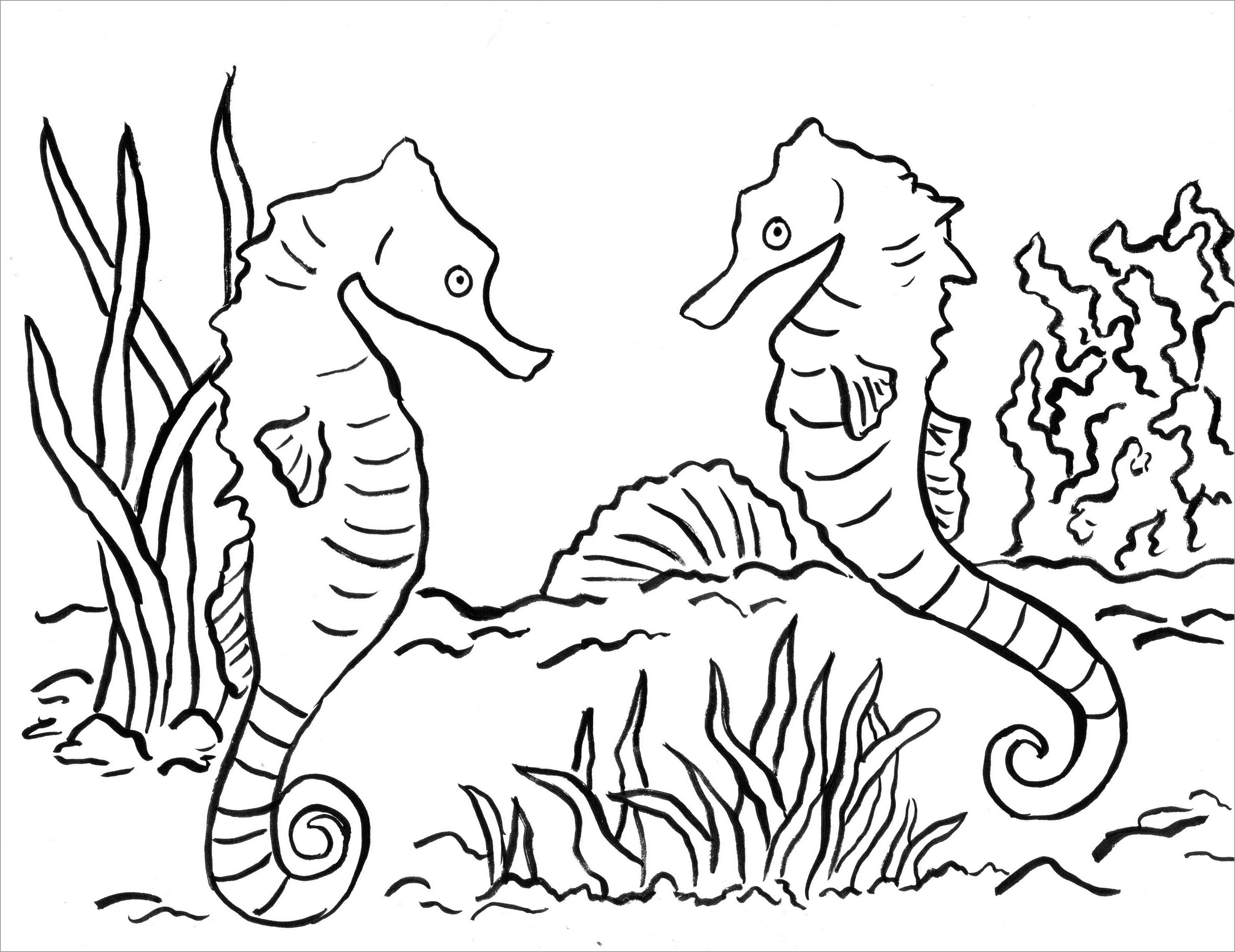 Free Seahorse Coloring Pages to Print