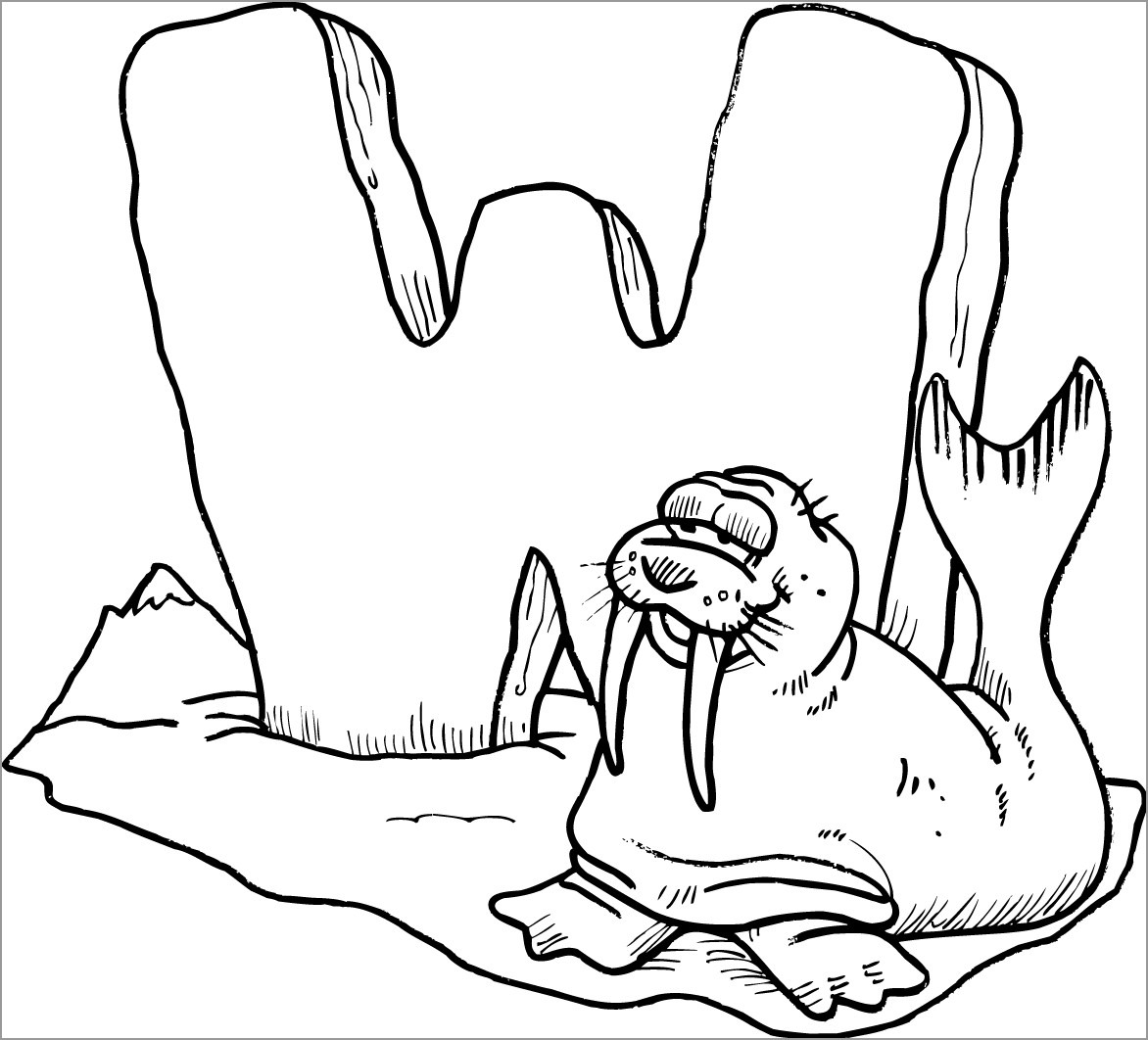 Free Walrus Coloring Page