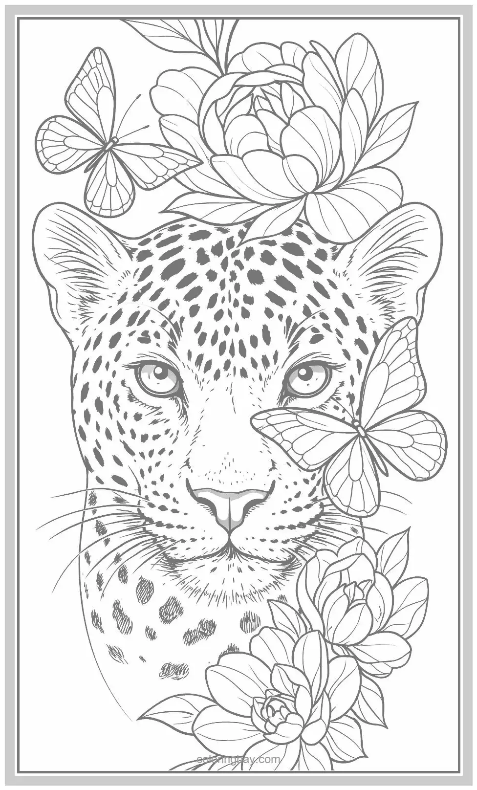 free wildcat coloring page free wildcat coloring page
