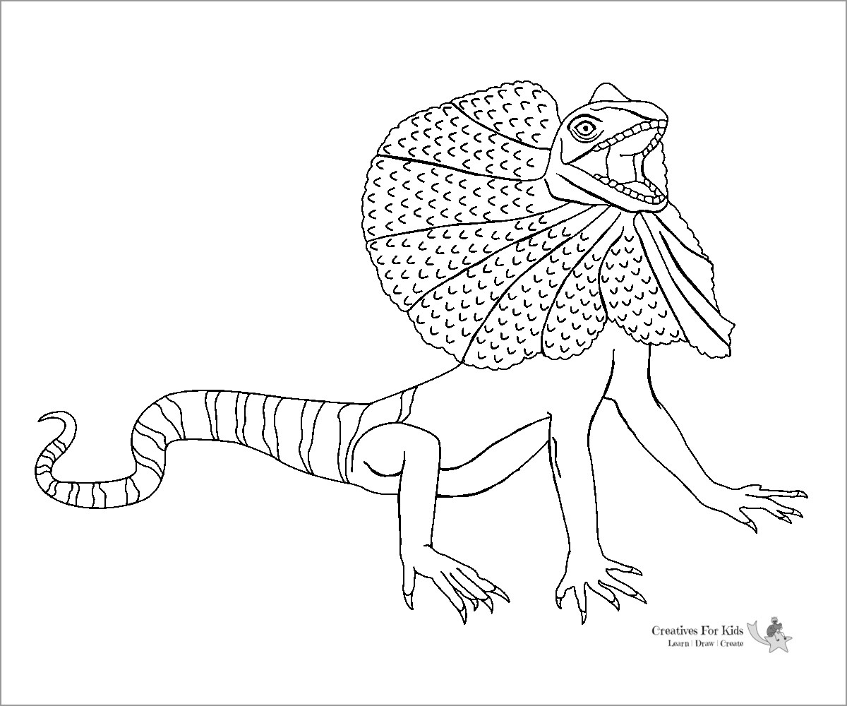 Coloring Page Of A Lizard