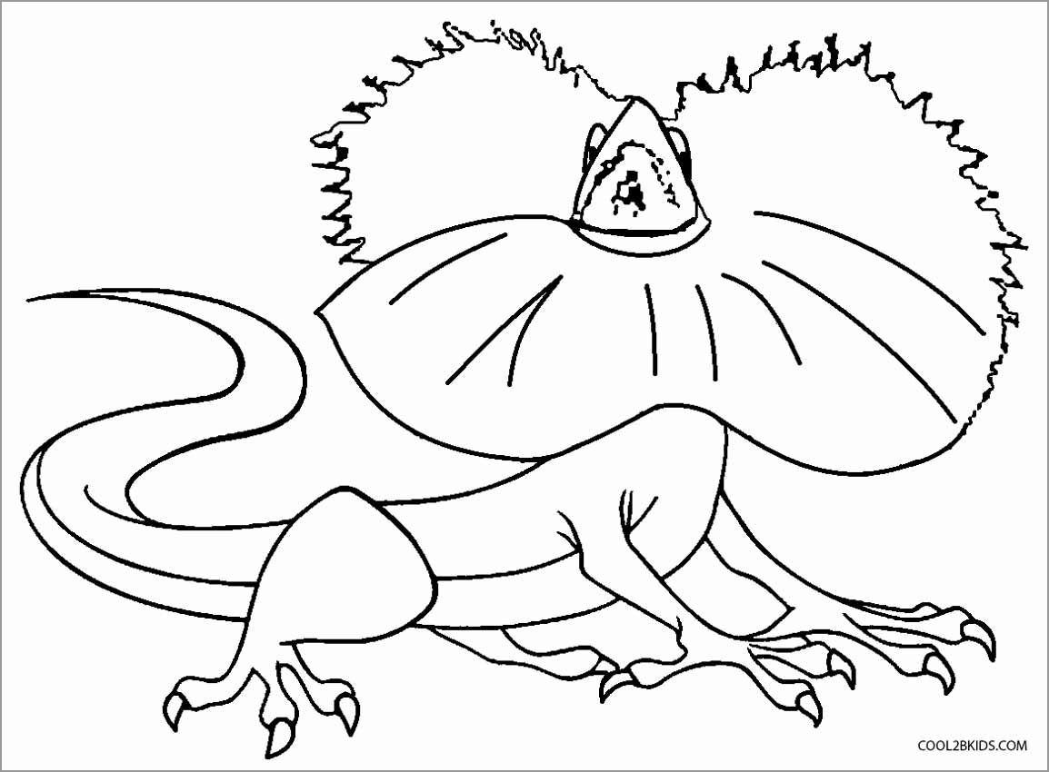 Frilled Lizard Coloring Page