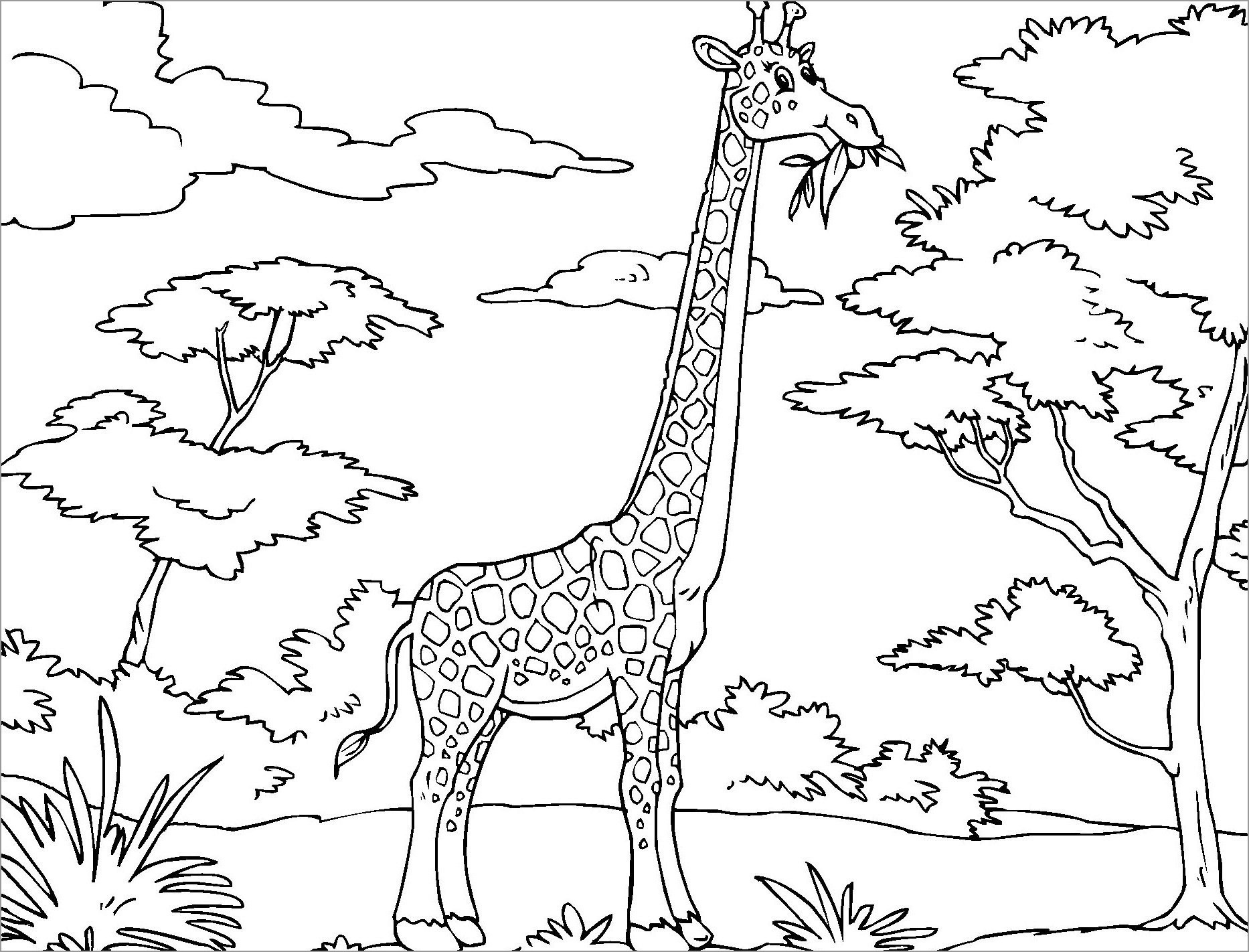 Funny African Giraffe Coloring Page