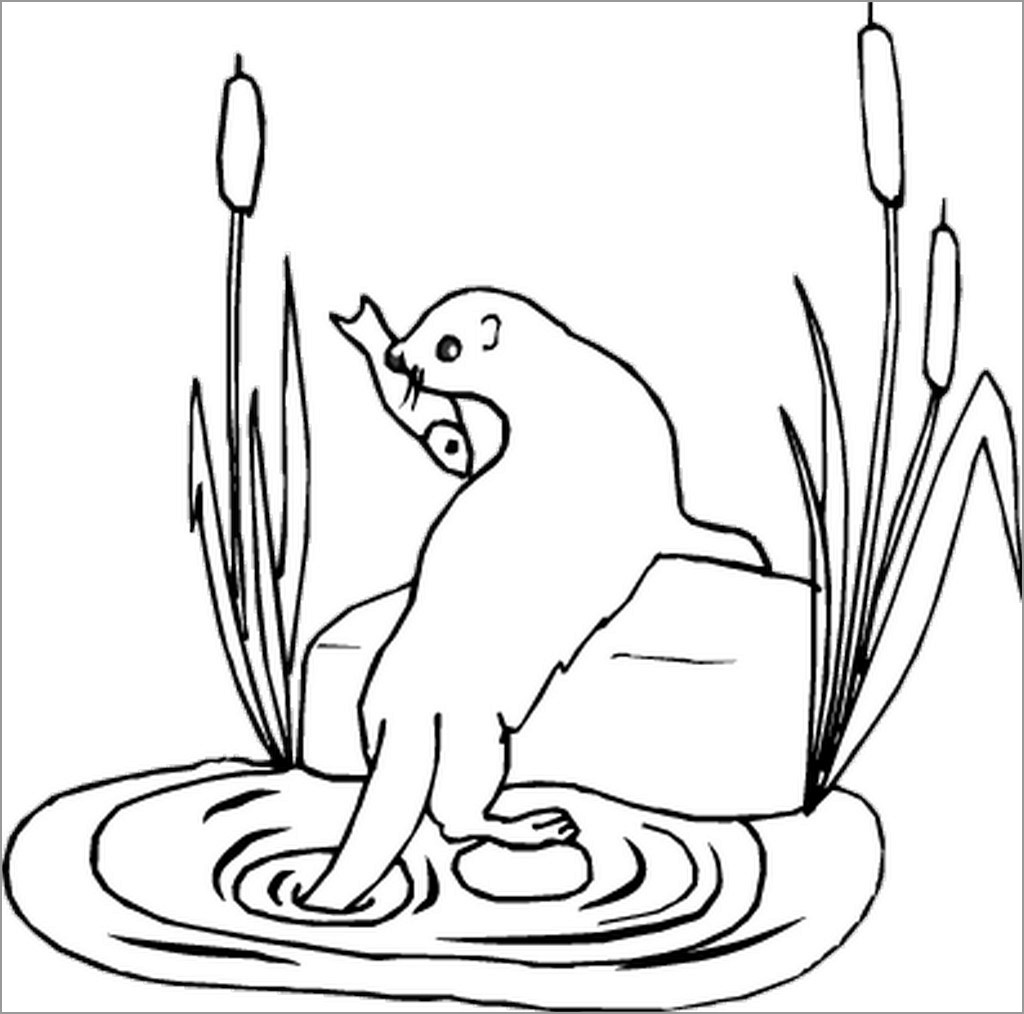 Funny Otter Coloring Pages