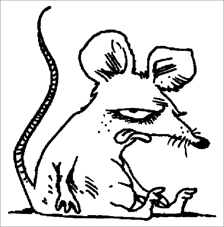 Rat Coloring Pages - ColoringBay
