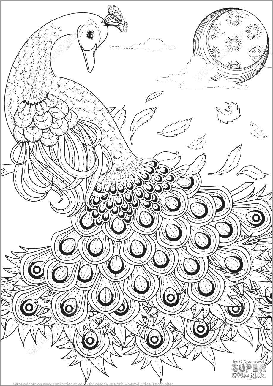 Graceful Peacock Coloring Page