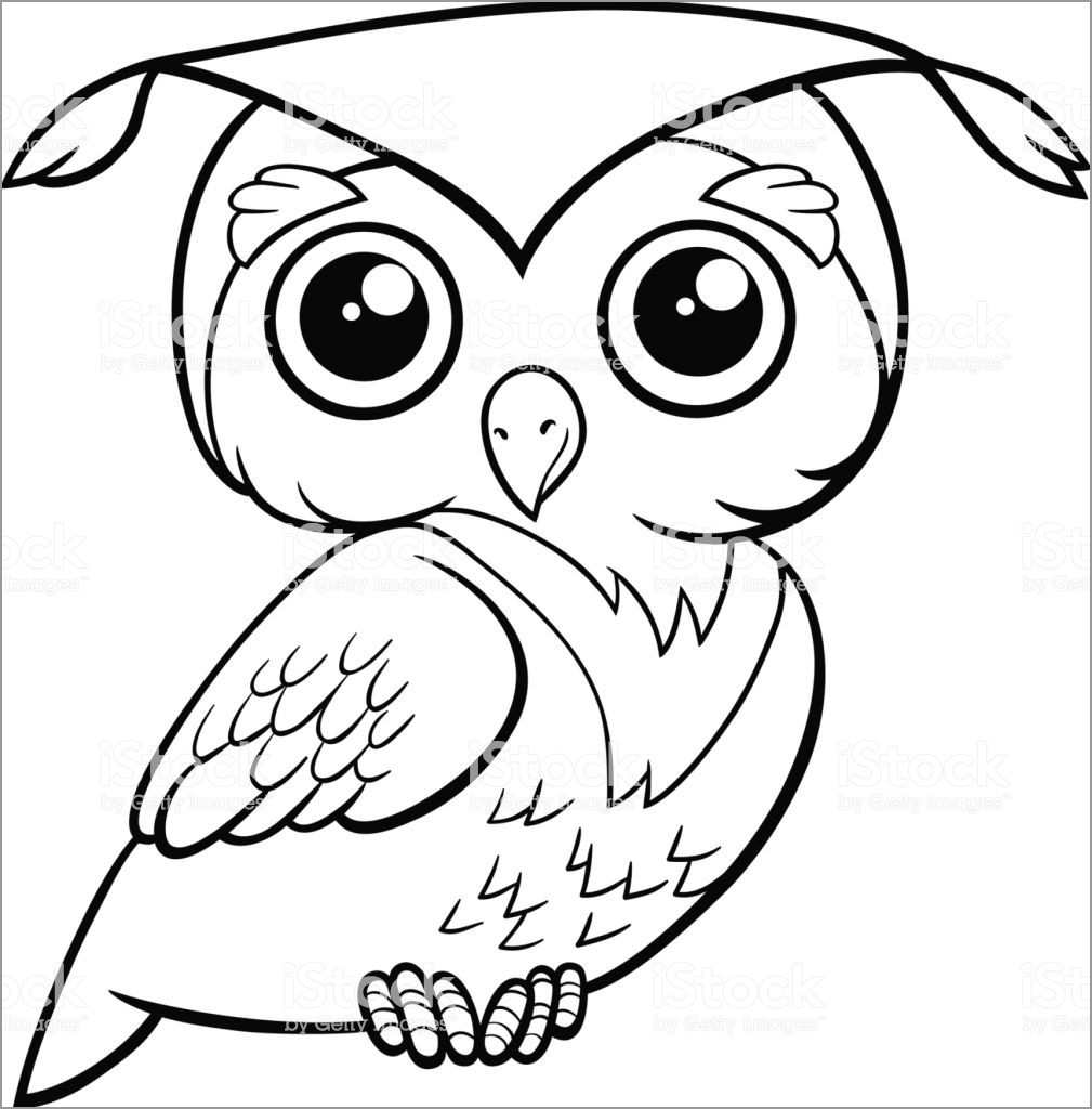 Graduation Owl Coloring Page