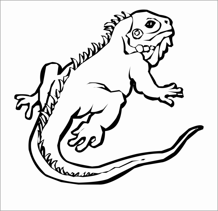 Iguana Coloring Pages