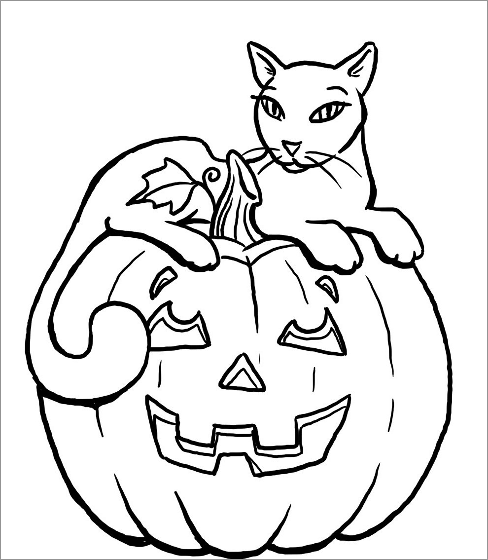 Halloween Black Cat Coloring Page   ColoringBay