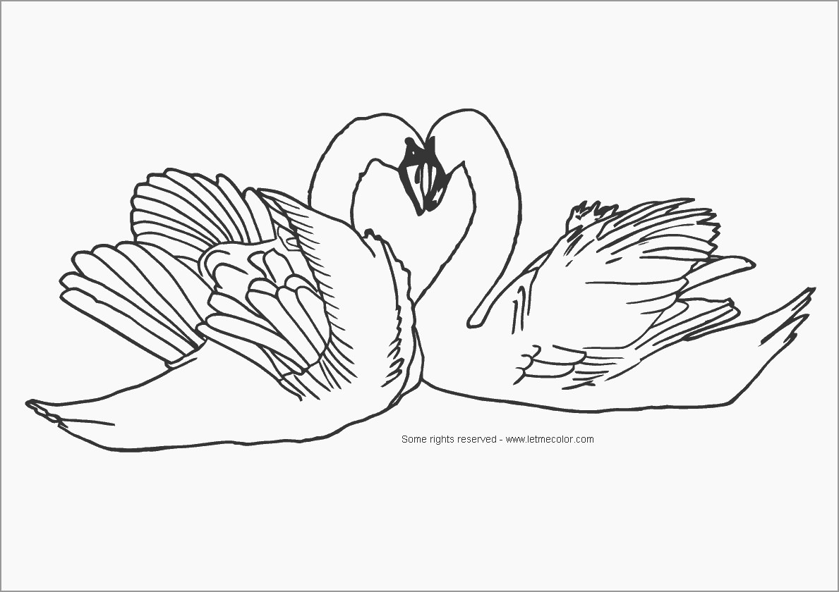 Heartshaped Swans Coloring Page
