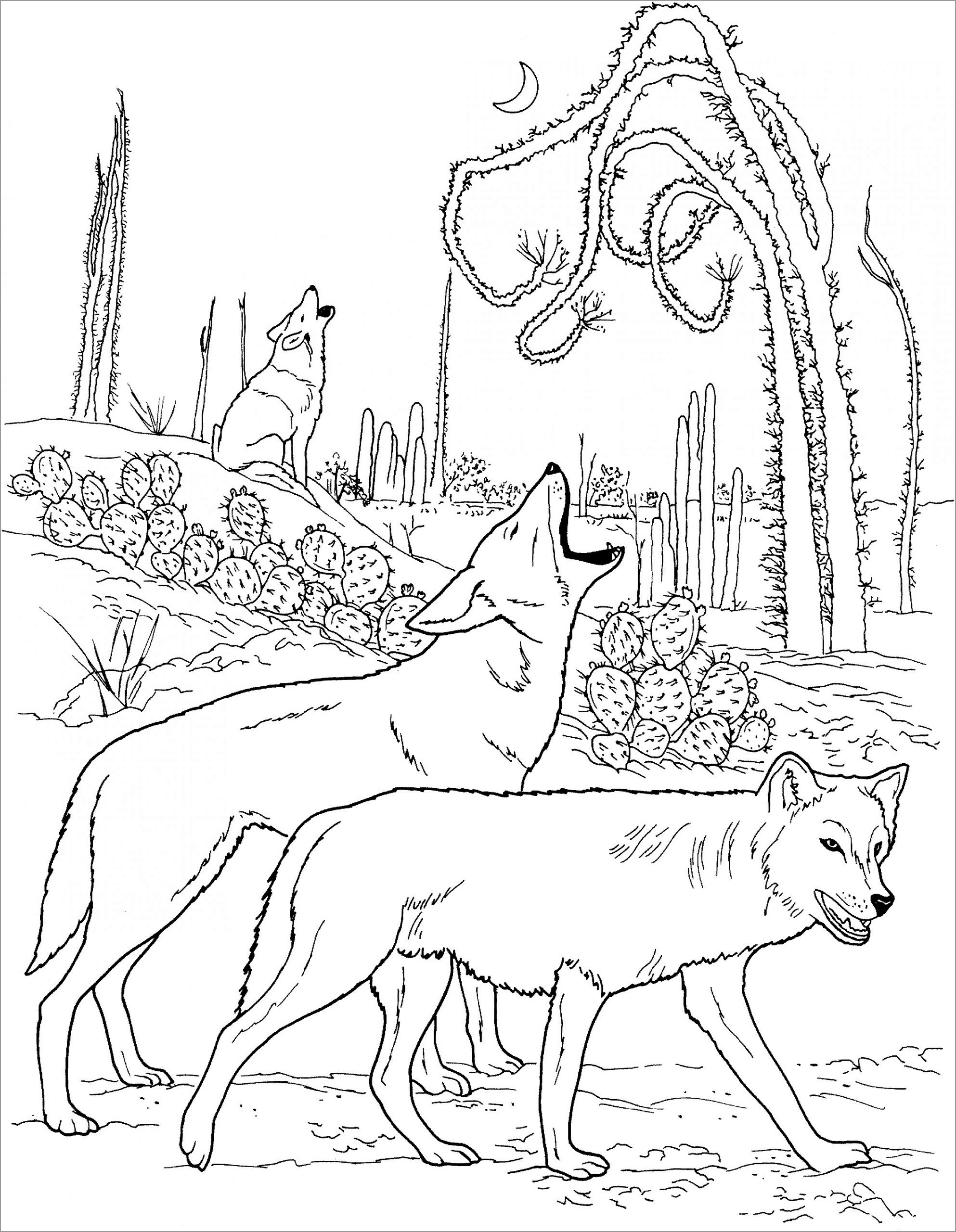 Howling Wolf Coloring Page for Adult