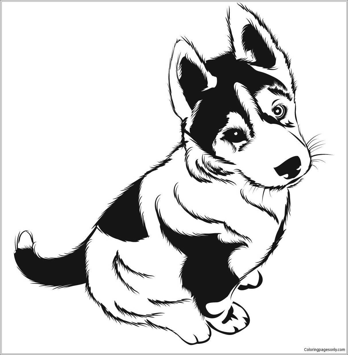 Husky Puppies Coloring Page