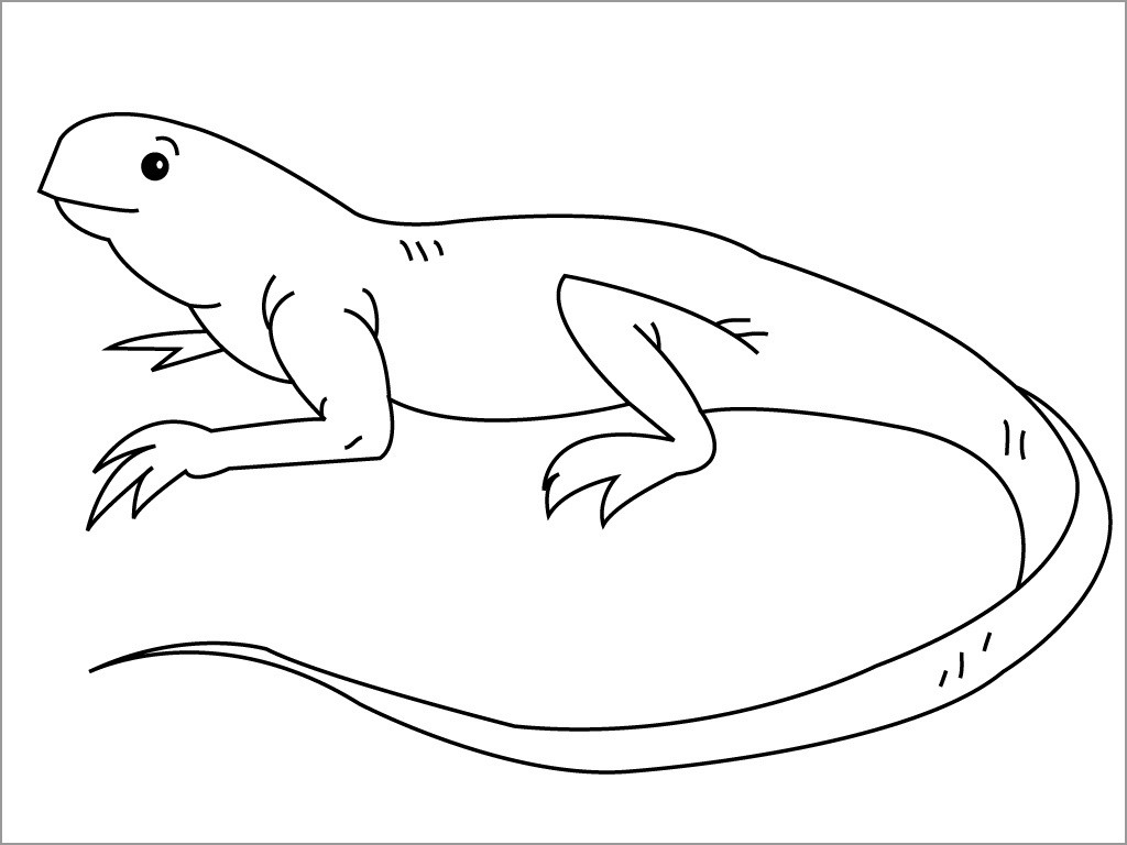 Iguana Coloring Page for Kids
