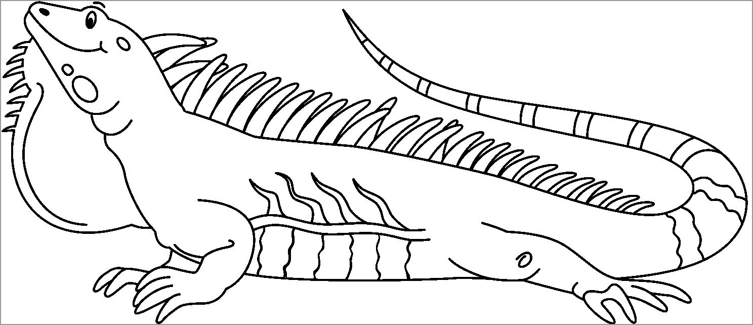 Iguana Coloring Pages - ColoringBay
