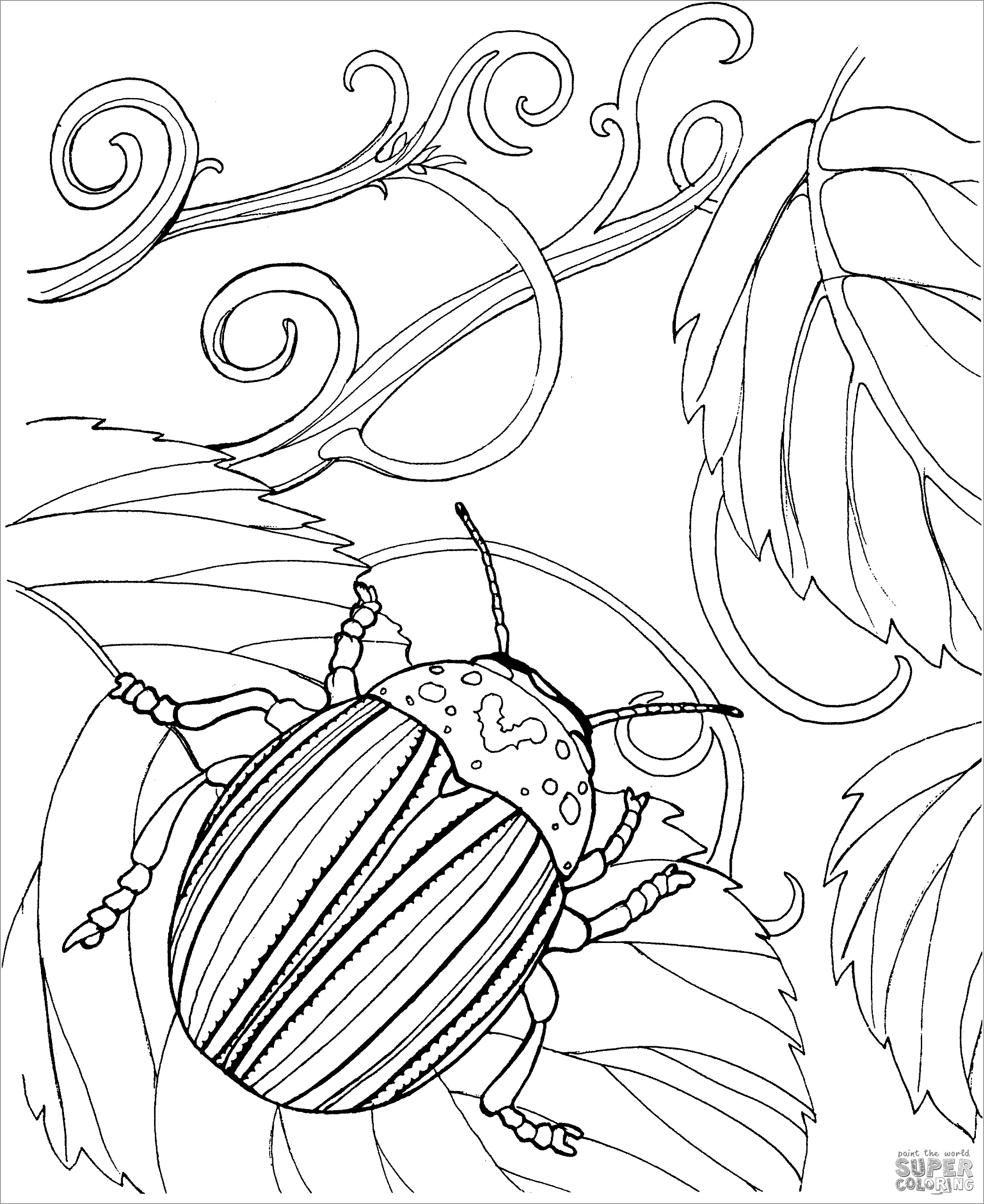 Japanese Beetle Coloring Page