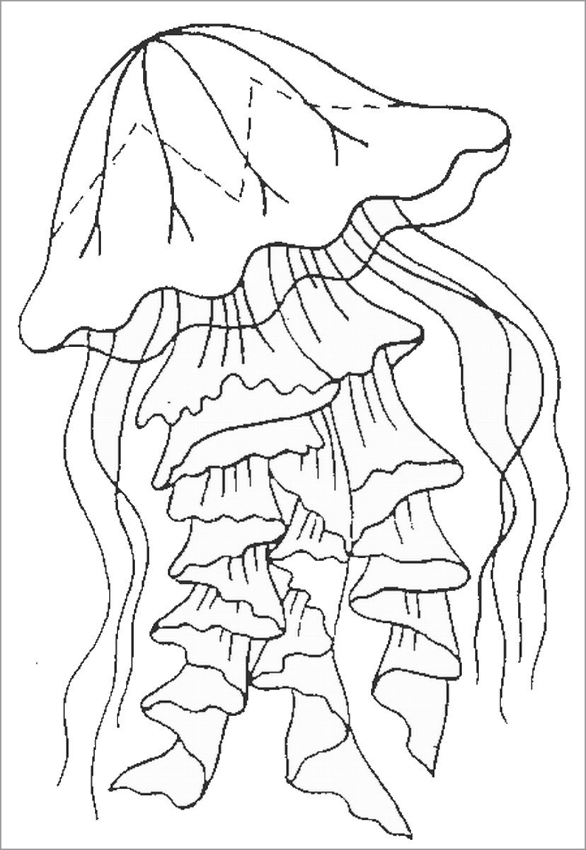 Jellyfish Coloring Page for Kindergarten