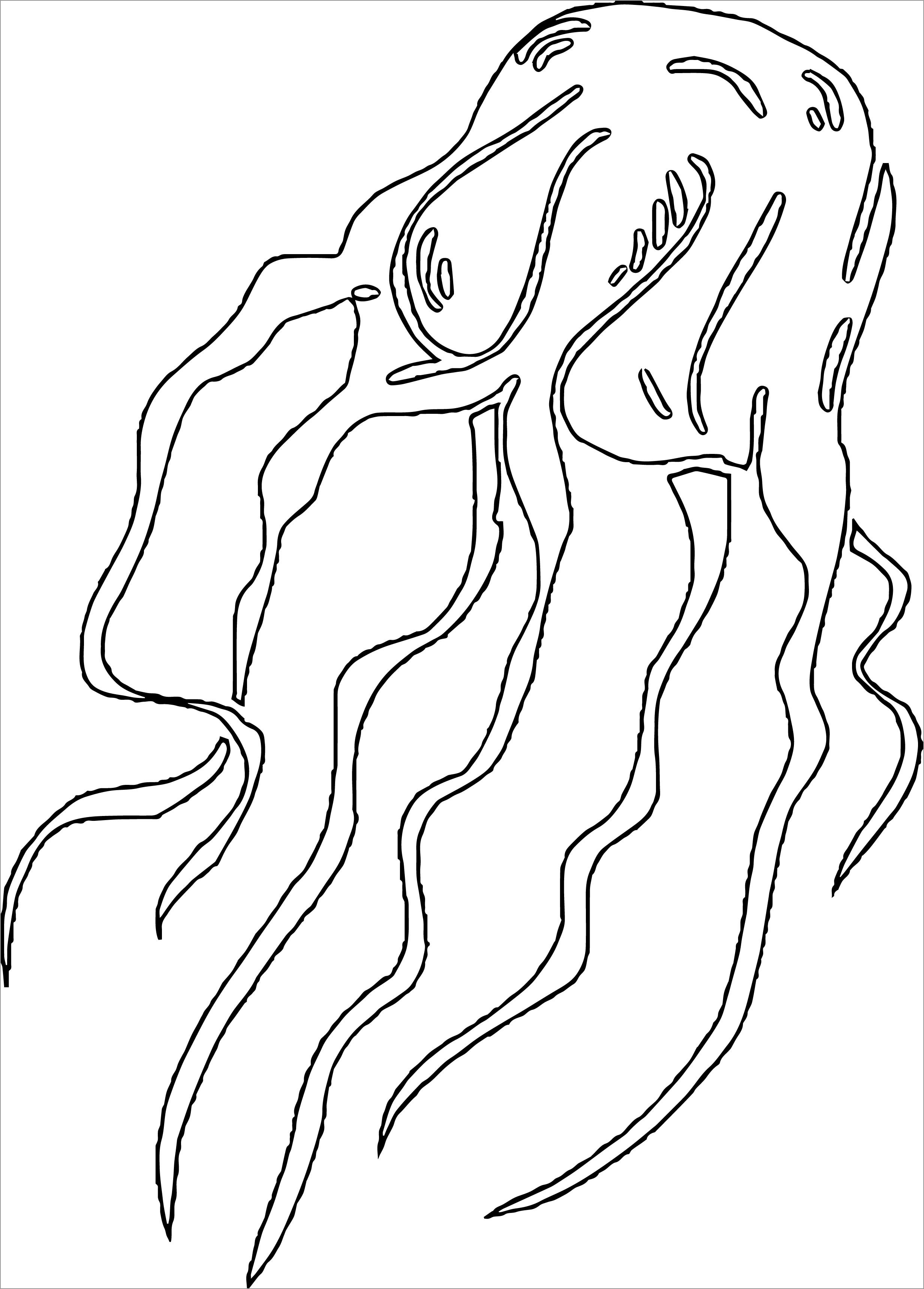 Jellyfish Coloring Pages ColoringBay