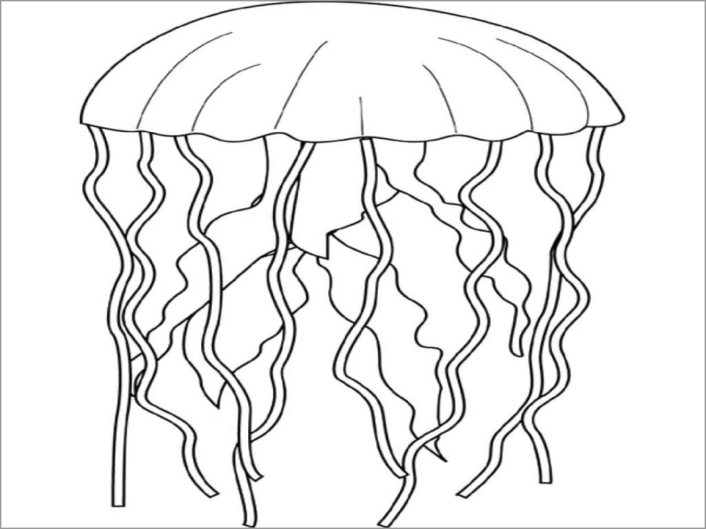 Jellyfish Coloring Pages to Print