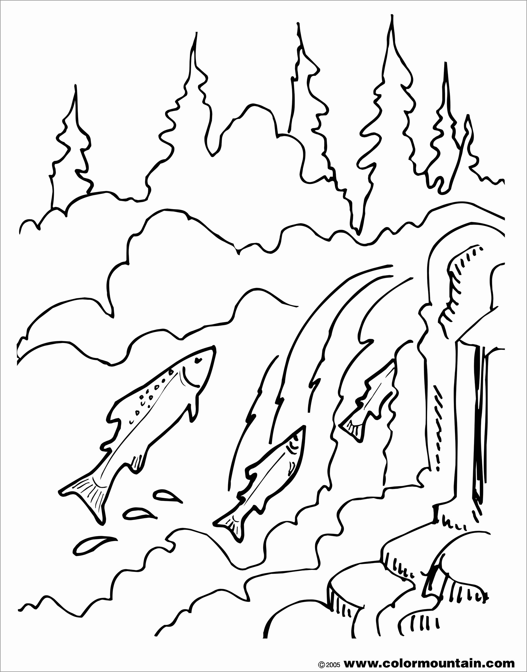 Jumping Salmon Coloring Page