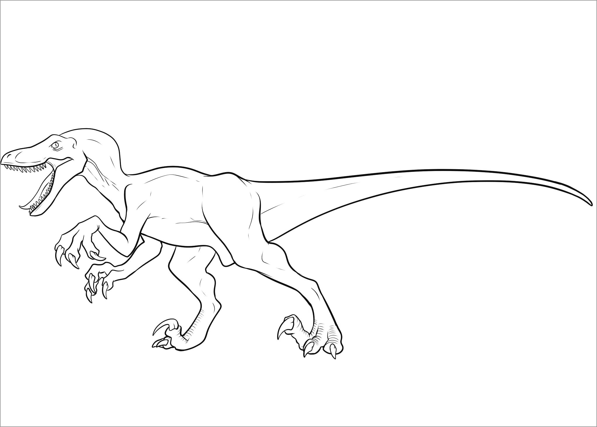 Jurassic Park Velociraptor Coloring Pages   ColoringBay