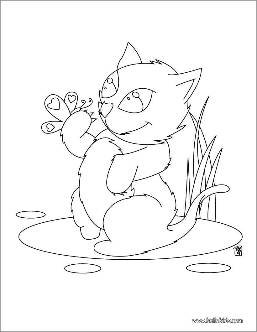 Kitten and butterfly Coloring Page   ColoringBay