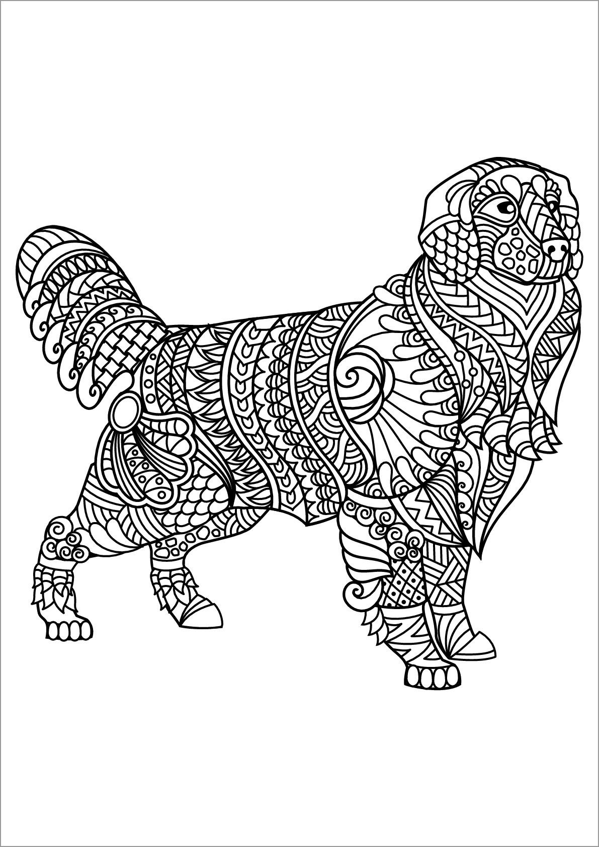 Labrador Dog Coloring Pages for Adults