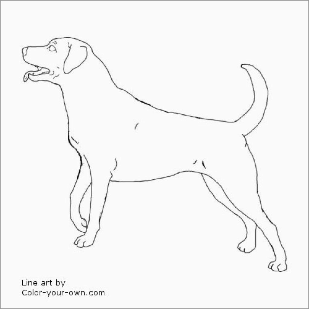 Labrador Retriever Dog Coloring Pages
